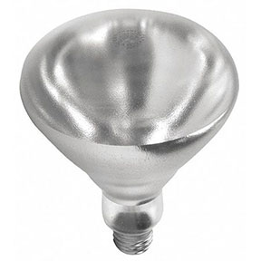 INFRARED LIGHT BULB, 250R40/HT/CLEAR